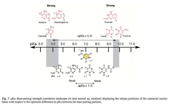 pKa of nucleobases correlation